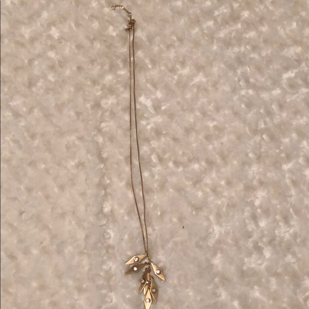 Jcrew long necklace